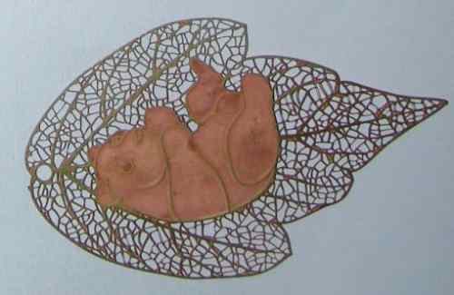 番禺蝕刻網(wǎng)聯(lián)系電話