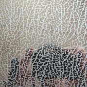 <b>大嶺山五金蝕刻技術(shù)</b>