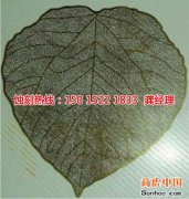<b>大鵬腐刻加工_不銹鋼蝕刻網(wǎng)</b>