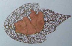 <b>溫嶺腐蝕加工_蝕刻網(wǎng)</b>