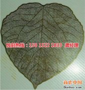 <b>玉環(huán)市蝕刻加工_銅板蝕刻</b>