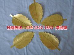 <b>連云港蝕刻加工_金屬蝕刻</b>